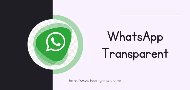 whatsapp transparent